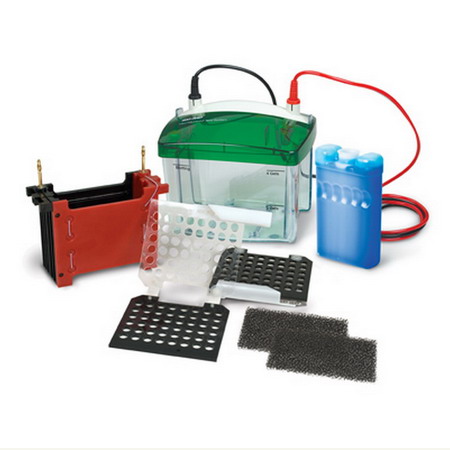 美國BIO-RAD伯樂Mini Trans-Blot小型轉印槽，迷你濕轉印槽1703930