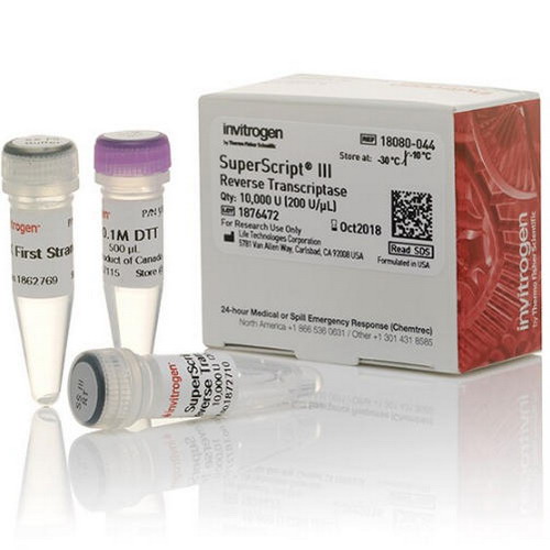 Thermo賽默飛SuperScript III 反轉(zhuǎn)錄酶18080044 18080093 18080085