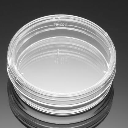 BD Falcon緊扣蓋型細(xì)菌培養(yǎng)皿 未經(jīng)TC處理 無菌351006