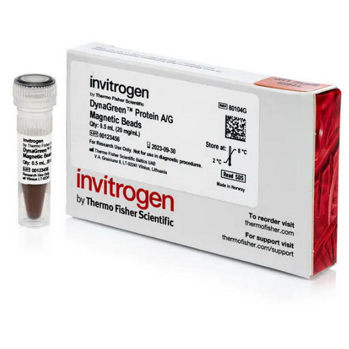 Thermo賽默飛80104G DynaGreen Protein A/G 80105G磁珠80106G