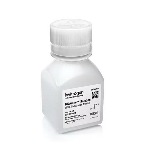 Thermo賽默飛RNAlater 穩(wěn)定液AM7020 AM7022