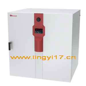 微生物培養(yǎng)箱BXP-65S