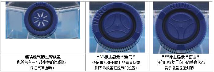 丹麥Nunc EasYFlasks&trade;易用培養(yǎng)瓶